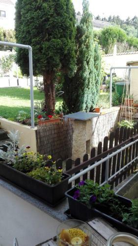 Apartamento Ferienwohnung Niklas