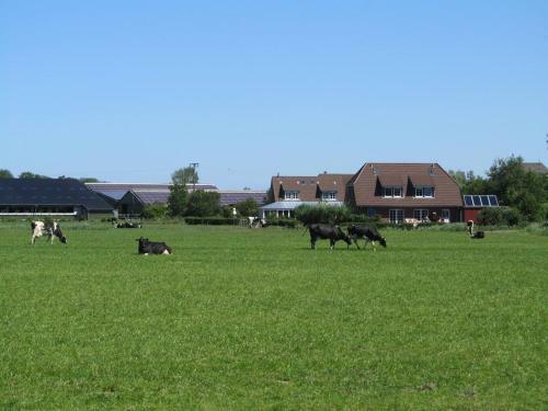 Apartamento Bauernhof Rickerts