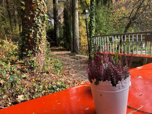 Hostal Gemuetliche Eule