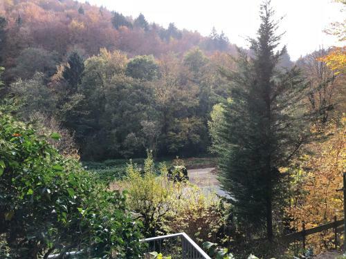 Hostal Gemuetliche Eule