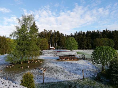 Apartamento Urlaub Auf Dem Hirschhof Stehle