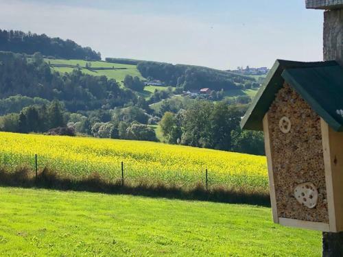 Apartamento Ferienwohnung Mintbraun