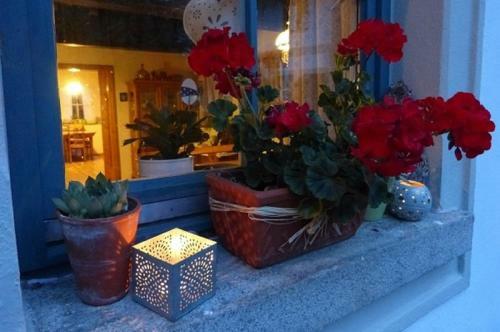 Apartamento Der Breinhof - Euer Urlaubsbauernhof