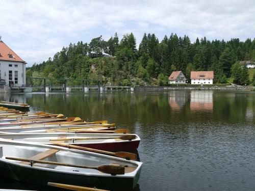 Ferienhaus Nr 10b2, Feriendorf Hagb�gerl, Bayr Wald