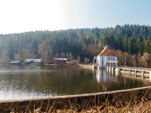 Ferienhaus Nr 10b2, Feriendorf Hagb�gerl, Bayr Wald