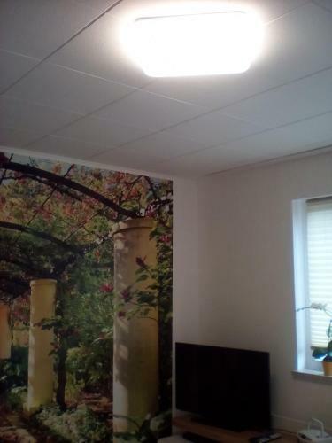 Apartamento Ferienwohnung Am Geiersberg Nr.1