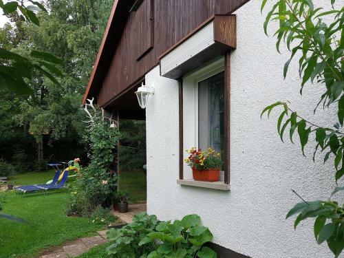 Ferienhaus Waldblick