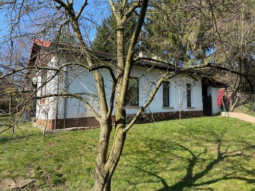 Ferienhaus Waldblick