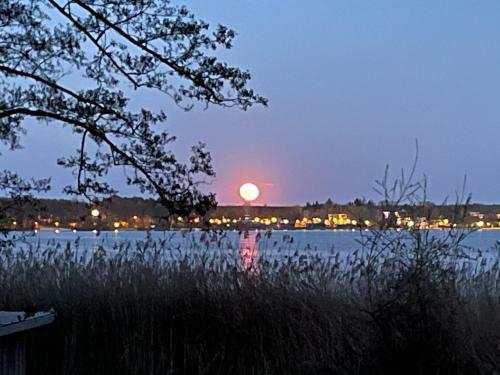 Wandlitzsee