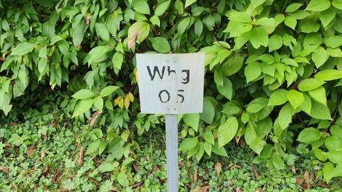 Apartamento Gem�tliche Wohnung In Wasserburg