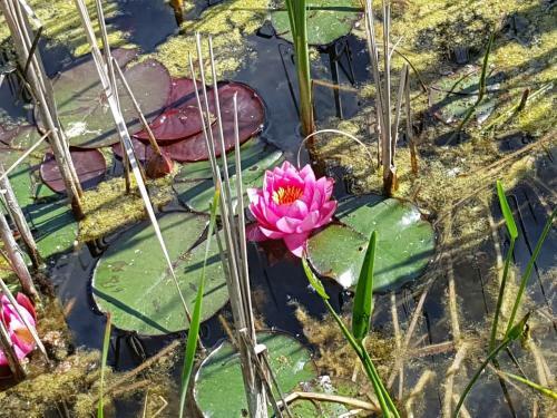 Bed & Breakfast Propstei Wechterswinkel