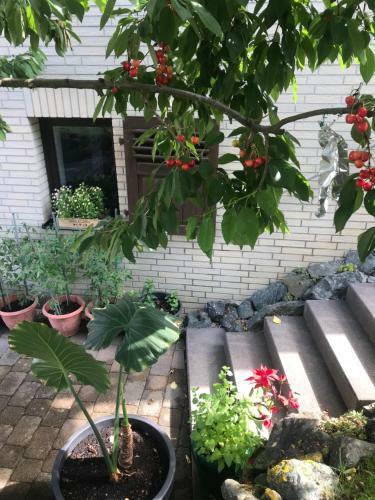 Apartamento Ferienwohnung Am Weiltalradweg