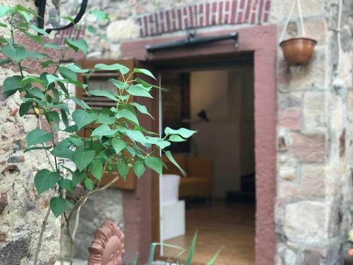 Apartamento B�dinger Hof