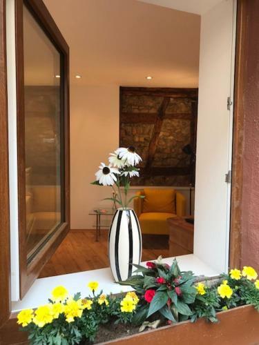 Apartamento B�dinger Hof