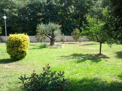 Ca L'estrada