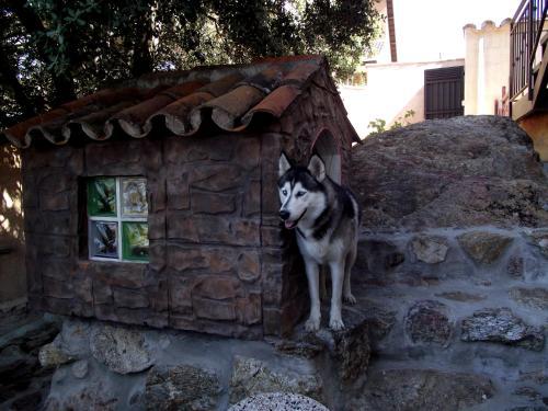 Apartamento Roqueo De Chavela