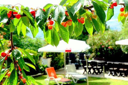 Hotel Los B�rchules