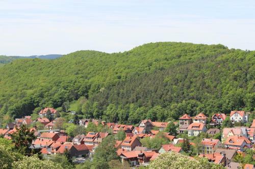 Hostal Wellnesshotel Jagdhaus