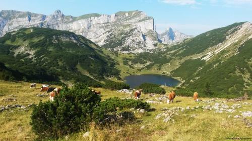 Privathaus Achensee