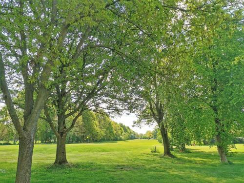 Apartamentos Heykens Golfhuus Eagle