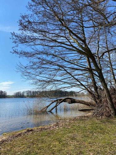 Ferienhaus Dat Wildberghus