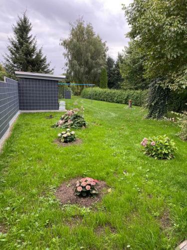 Ferienhaus Dat Wildberghus