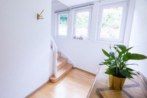 Apartamento Spieglein Spieglein