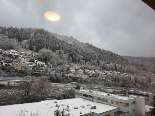 Apartment Wildbad