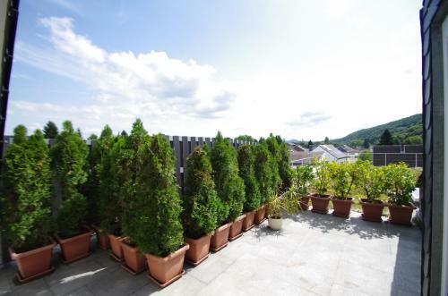 Luxury Apartment Bonn