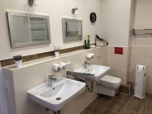 Apartamento Ferienwohnung Im Harz Wohlf�hltempel
