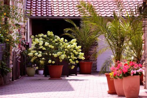 Apartamento Ferienhaus Taubergie_en