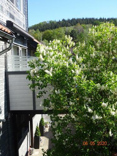 Apartamentos Fewo Hage