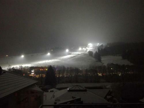 Apartamento Ferienwohnung Marx (K1 Blick) Willingen