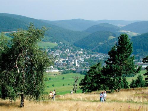 Apartamento Fewo Steingrotte (Inkl. Meinecard+)