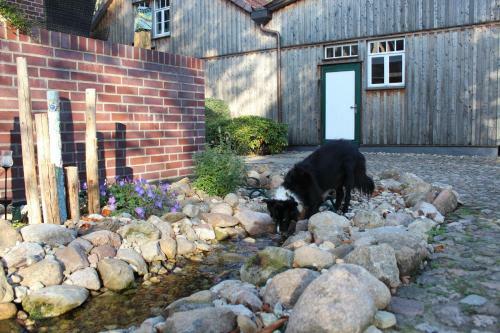 Hotel Landgasthof Wildwasser