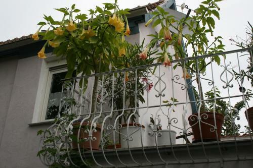 Apartamento Terasenappartement