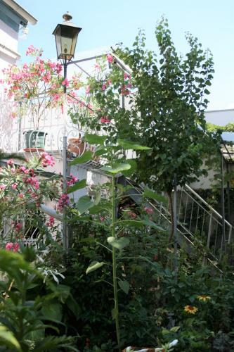 Apartamento Terasenappartement