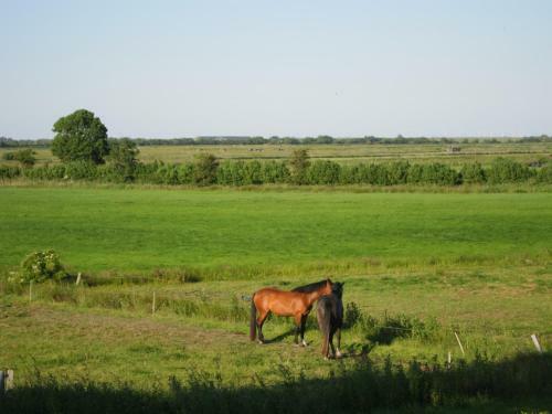 Apartamento Nordseekrabbe 12 Herrenhof