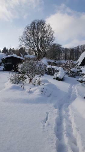 Apartamento Haus Rosengarten