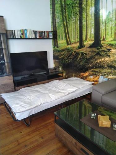 Apartamento Scholle In Der Altstadt Neu! - Abc324