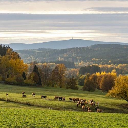 Apartamento Ferienwohnungen Fichtelgr�n