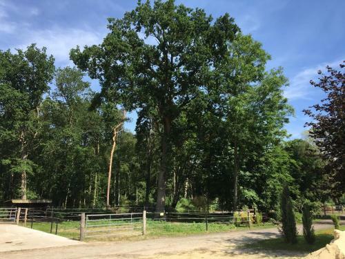 Apartamento Steffens Hof