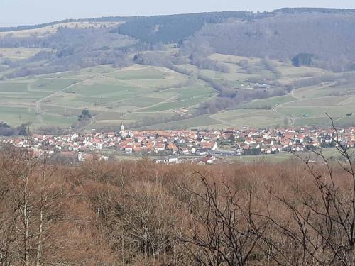 Apartamento Ferienwohnung Krenzer