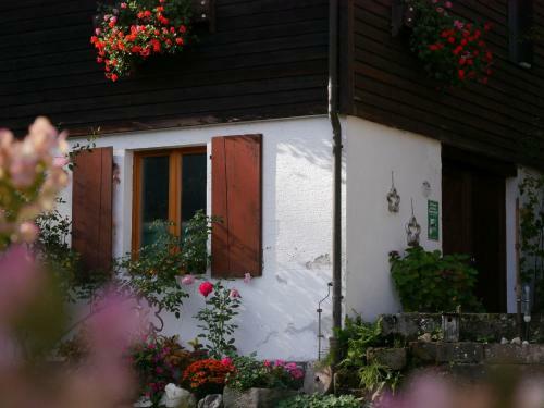 Buchenhof