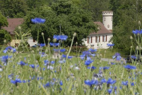 Hotel Pension Kastanienhof