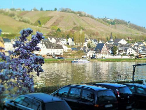 Apartamento Mosel Ausblick