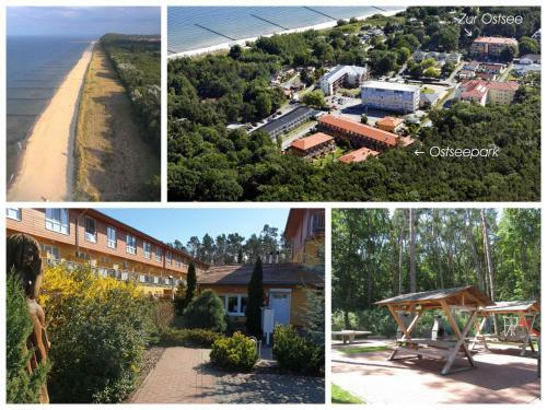 Hotel Zempin Ostseepark We 08 _insel Use