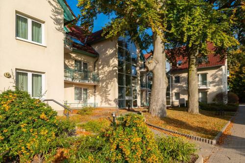 Apartment Astra