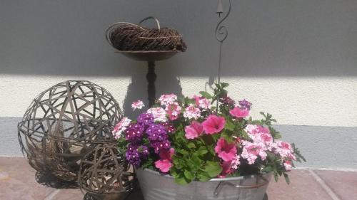Hostal Pension Kreuzinger