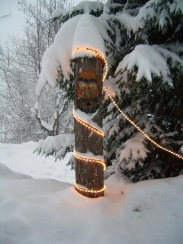Hostal Chalet Catton